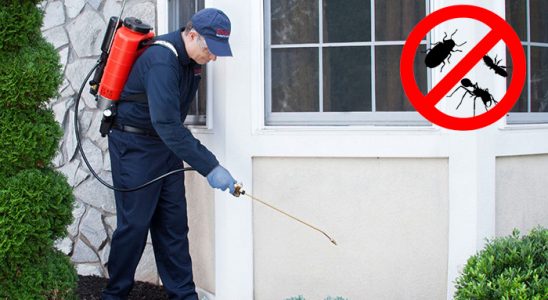 Tepebaşı Kemirgen İlaçlama böcek ilaçlama ve haşere kontrolü — ilaclama-tr.com